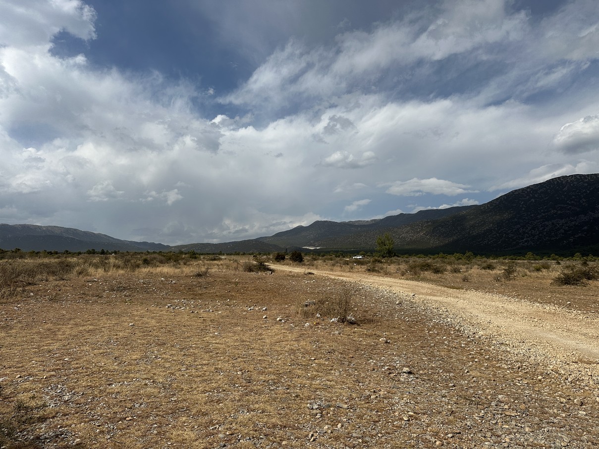 IMG_7444.jpg