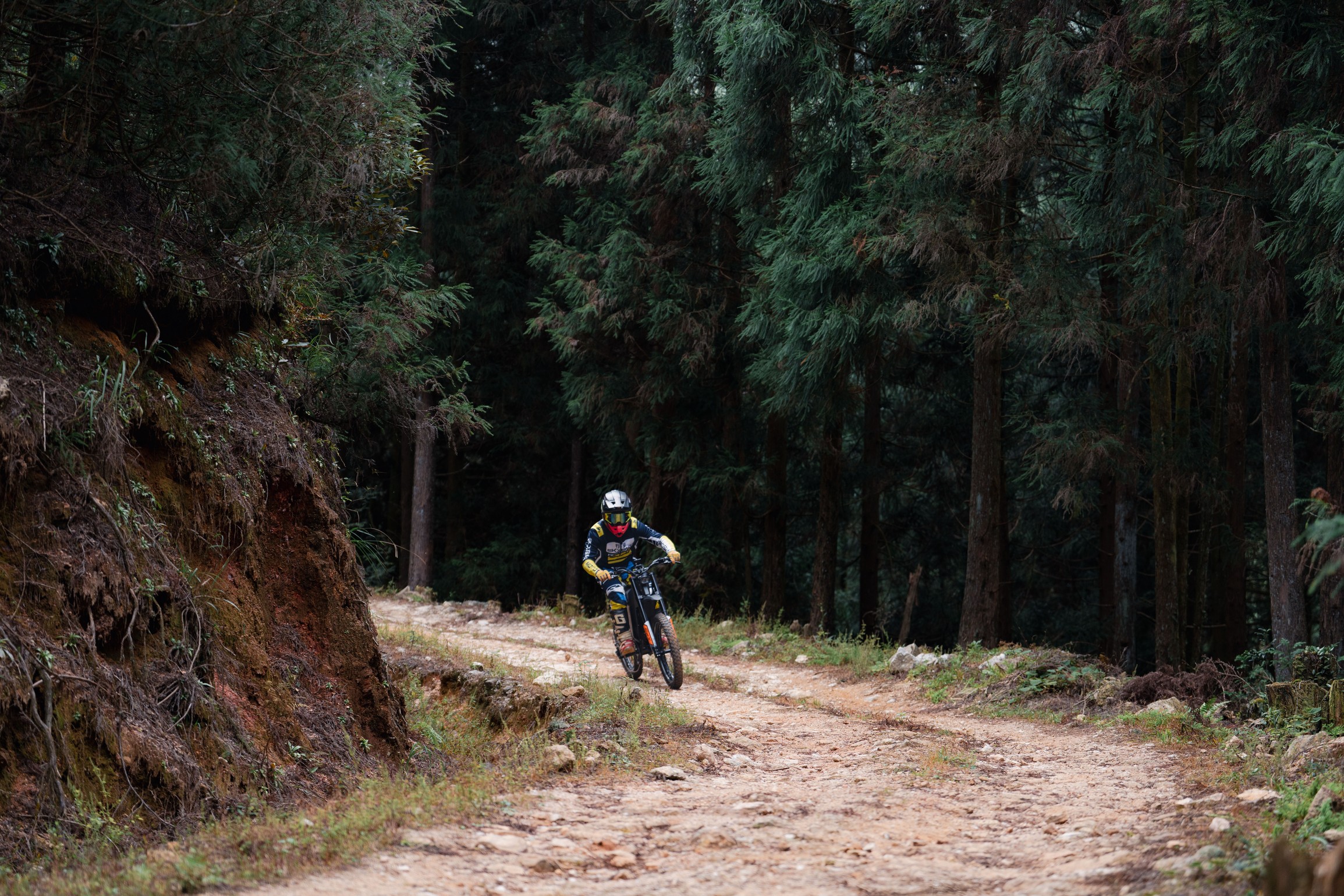 DSC06446.jpg