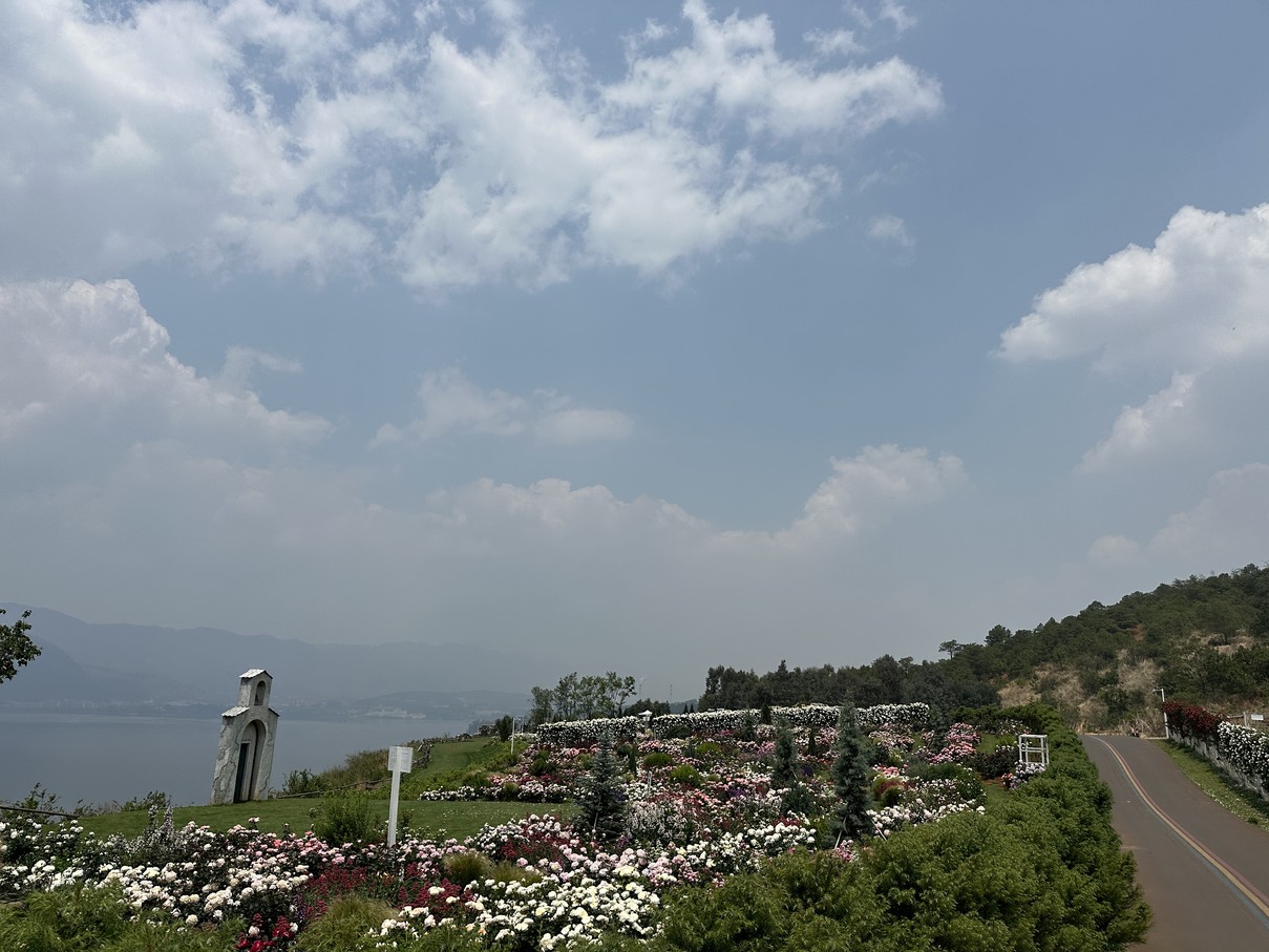 IMG_7307.jpg